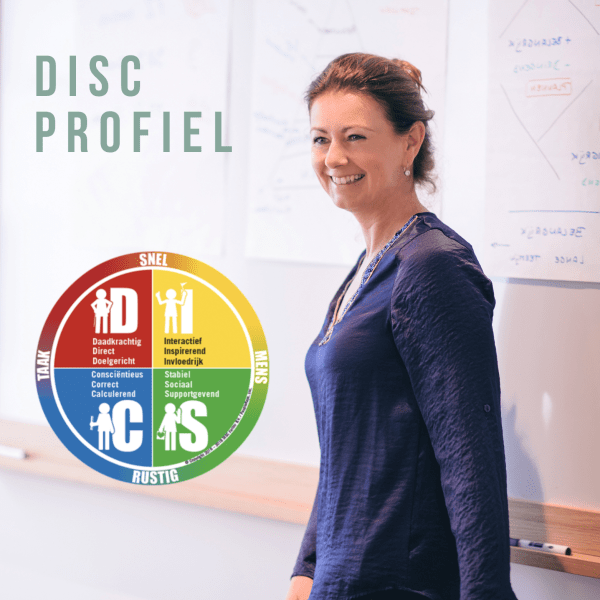 DISC profiel