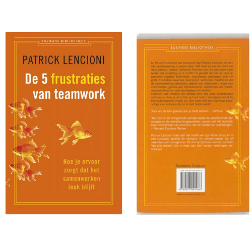 De 5 frustraties van teamwork